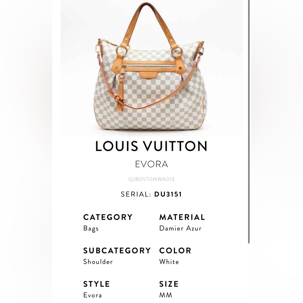 Louis Vuitton Evora MM Bag